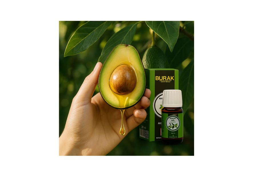 Burak Avokado Yağı: Doğanın Sıvı Altını ile Tanışın
