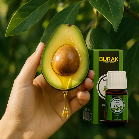 Avokado yağının  mucizevi etkileri